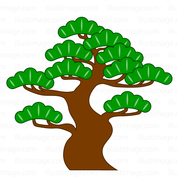 松の葉、ガン治療の要、 超抗酸化と解毒作用があなたを救う！
